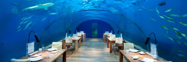 Under sea restaurant Iitha