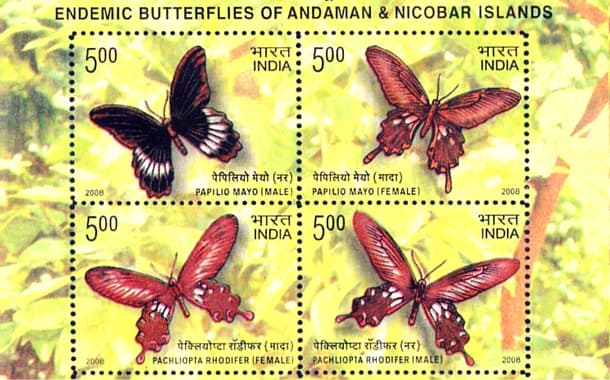 Andaman Butterfly Stamp