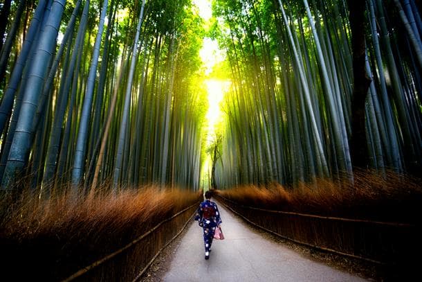 Bamboo Path in Kyoto, Japan