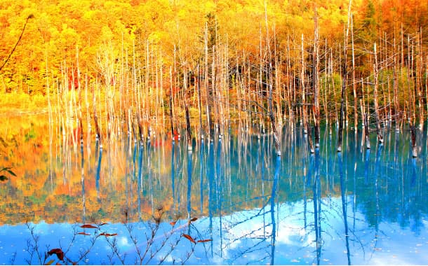 Blue Pond in autumn