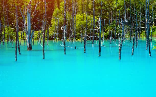 Blue Pond in spring