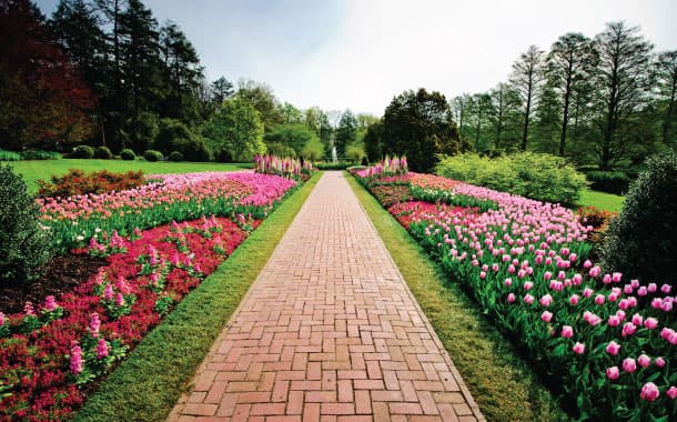 Longwood Gardens in USA