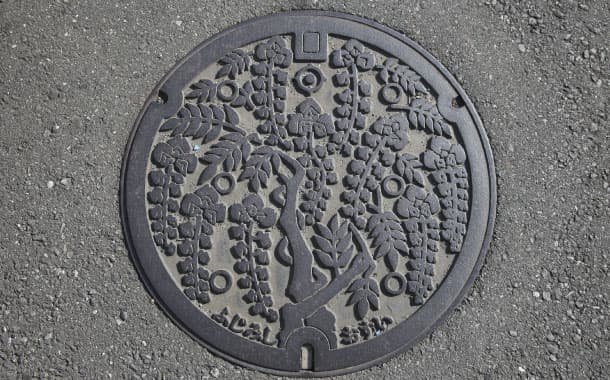 Manhole cover in Fujimi-shi, Osui, Japan