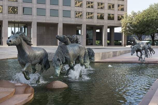 Mustangs at Las Colinas, Texas