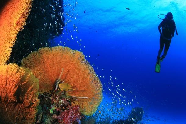 Scuba Diving in Bali
