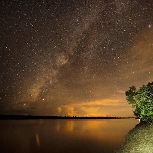 starry night, Sundarbans