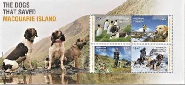 The Dogs That Saved Macquarie Island