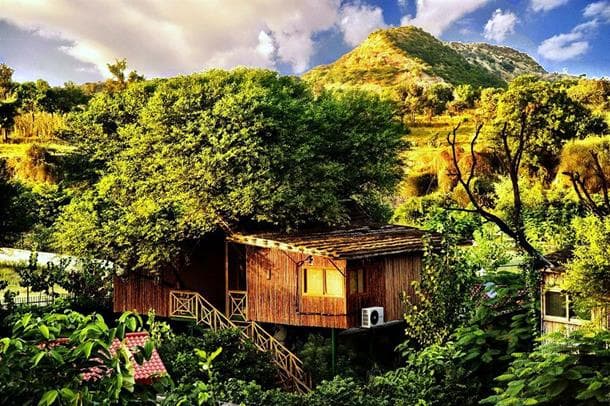 The Treehouse Resort, Jaipur