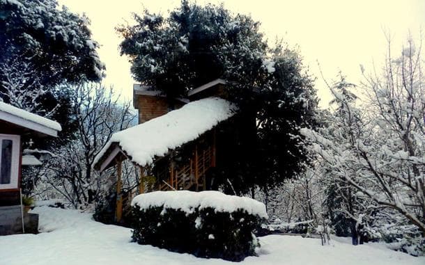 Tree House Cottage, Kullu