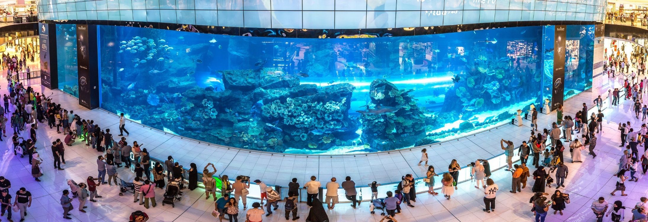 10 Fascinating Facts About Dubai Mall - Musafir