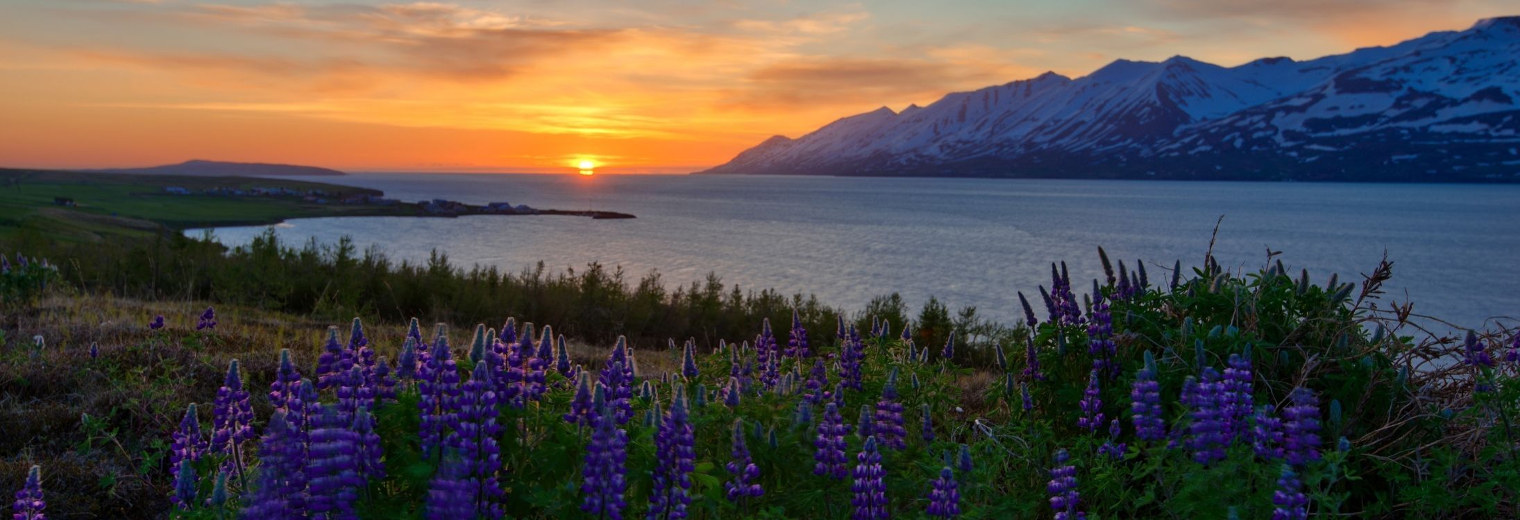 5 Places Where You Can Experience the Midnight Sun